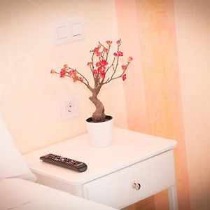 Standaard Kamer met een Queen Size Bed